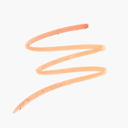 THE NEUTRALIZER PENCIL - US 9266